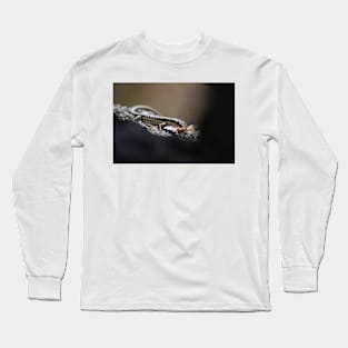 Grand skink - snack time! Long Sleeve T-Shirt